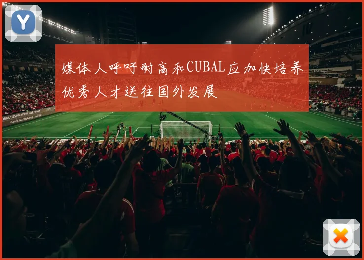 媒体人呼吁耐高和CUBAL应加快培养优秀人才送往国外发展