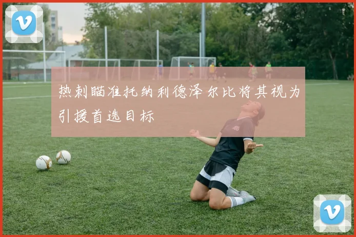 热刺瞄准托纳利德泽尔比将其视为引援首选目标