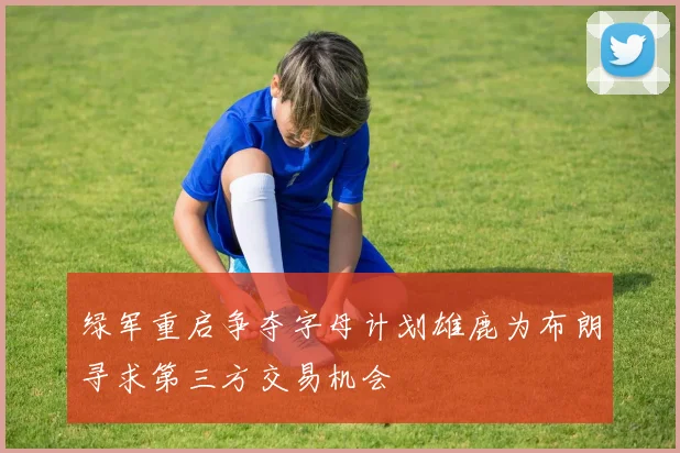 绿军重启争夺字母计划雄鹿为布朗寻求第三方交易机会